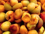 Nejlepší meruňkové recepty – zavařeniny, knedlíky nebo žemlovka